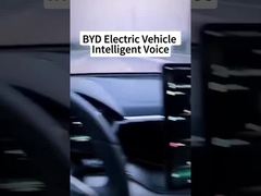 中国の電気自動車はどれほど賢いのか?
