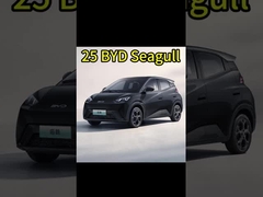 中国の電気自動車