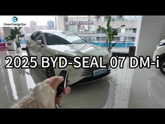 中国の電気自動車