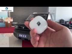 中国の電気自動車