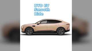 BYD EV 車 3020mm ホイールベース L2 アシスト 18 インチ タイヤ