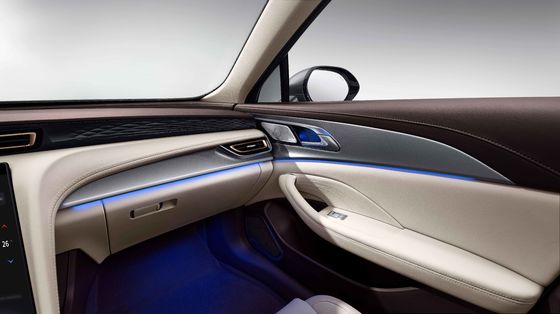 中国製の電気MPV 6人座L2アシスタント運転