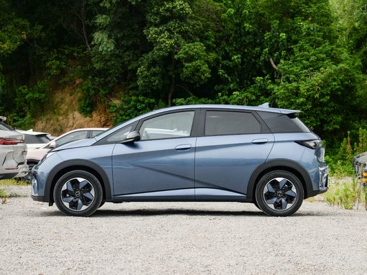 2025 BYD イルカ 中国で最も完璧な小型電気自動車 知的運転機能 420KM-520KMの範囲
